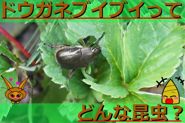 Thumbnail of post image 015